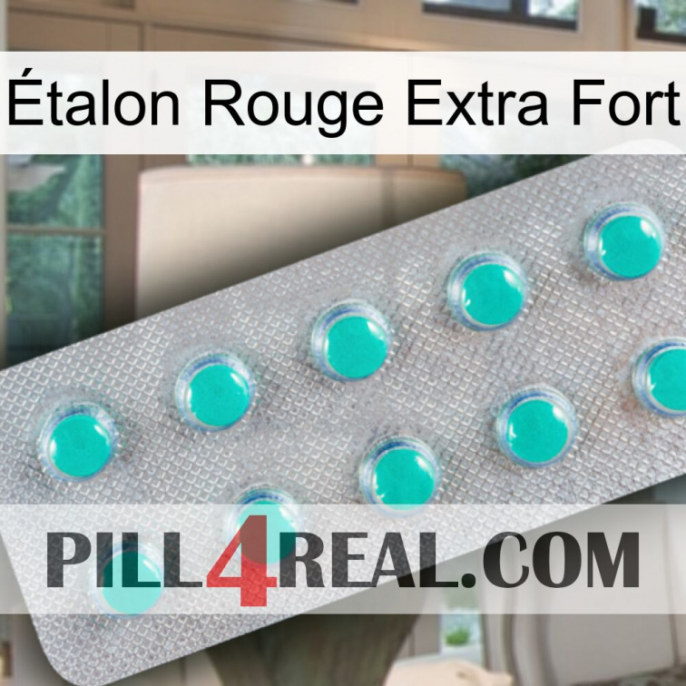 Étalon Rouge Extra Fort 28